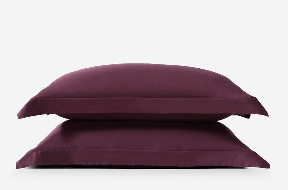 Sunday Citizen Natural Premium Bamboo King Sham Set - Fig